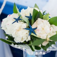 Прогулки на теплоходе Белая церковь